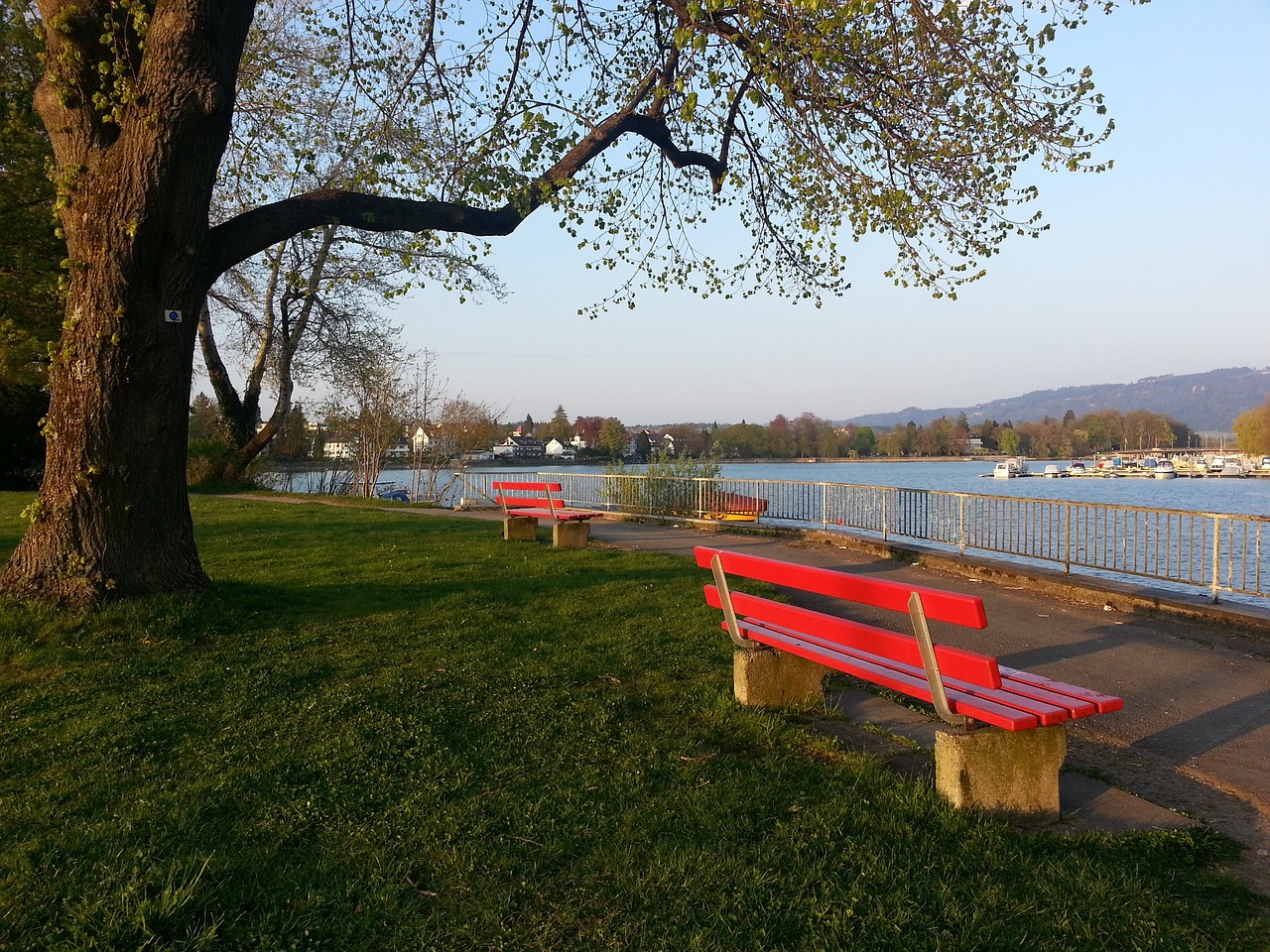 赛后亲密合 赛后亲密合