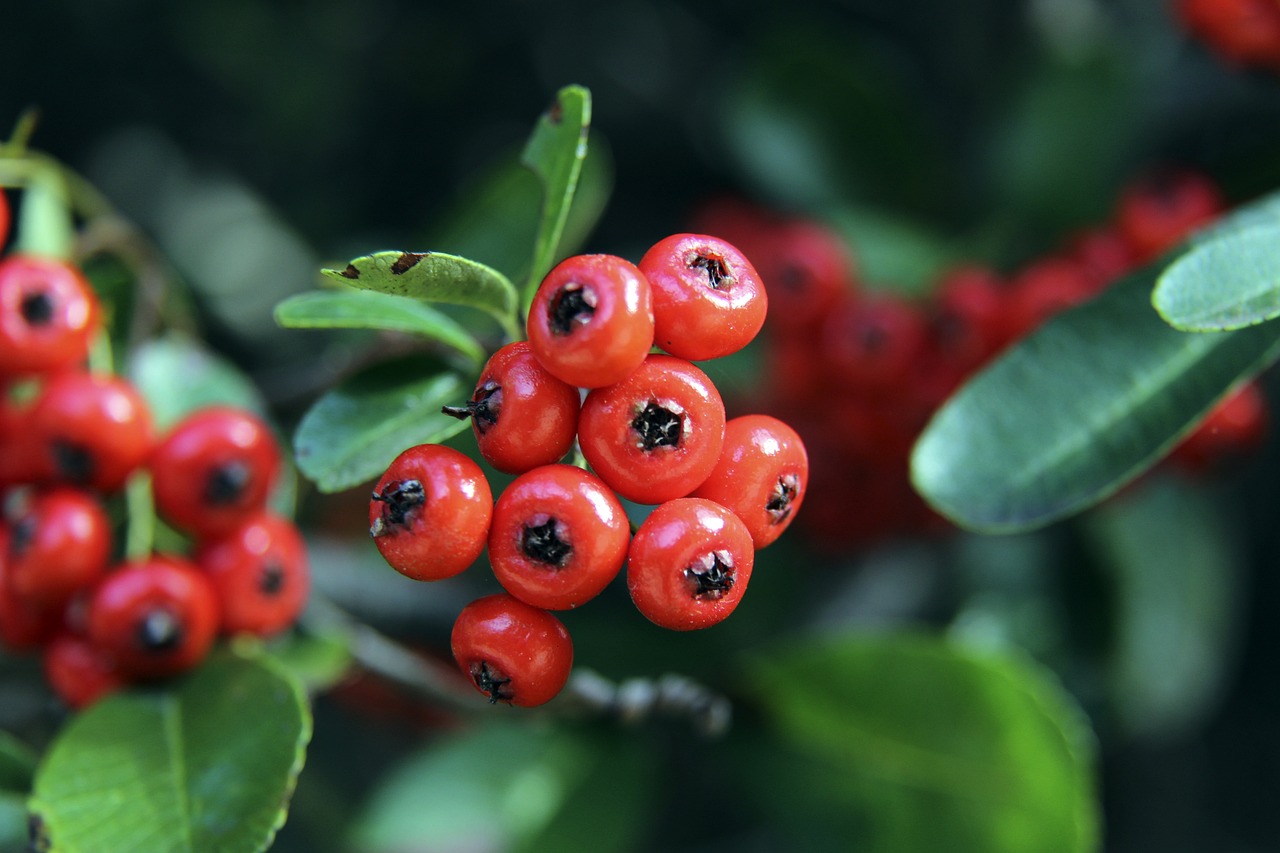 的华丽转身 的华丽转身