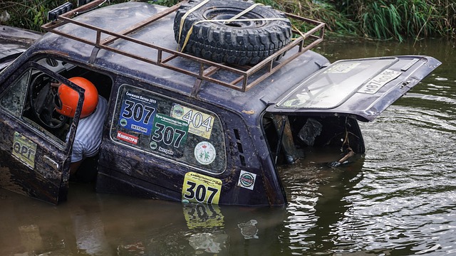 门虎队的比 门虎队的比