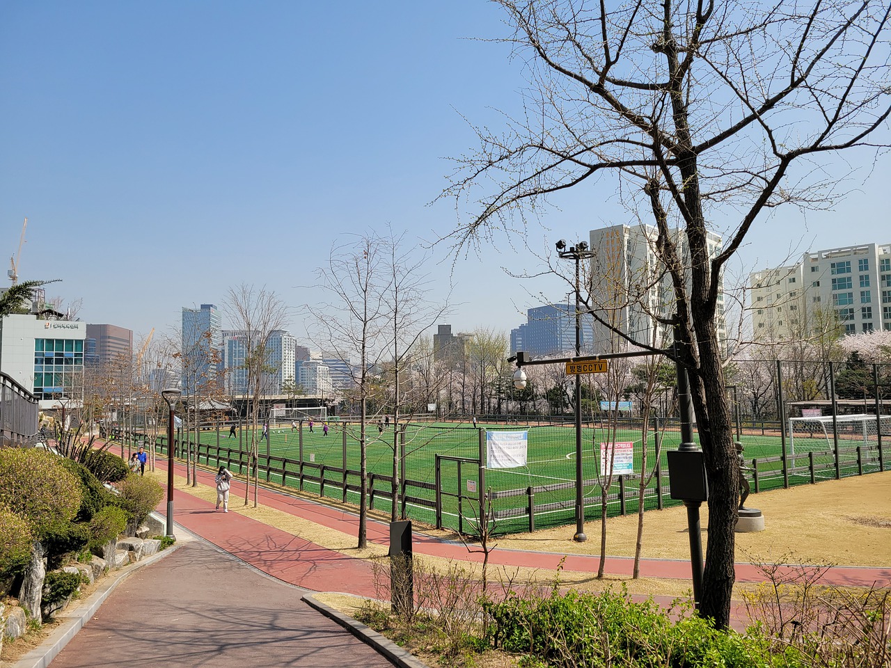 拉德个人的 拉德个人的