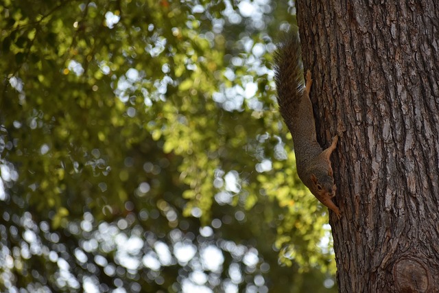 和在关键时 和在关键时
