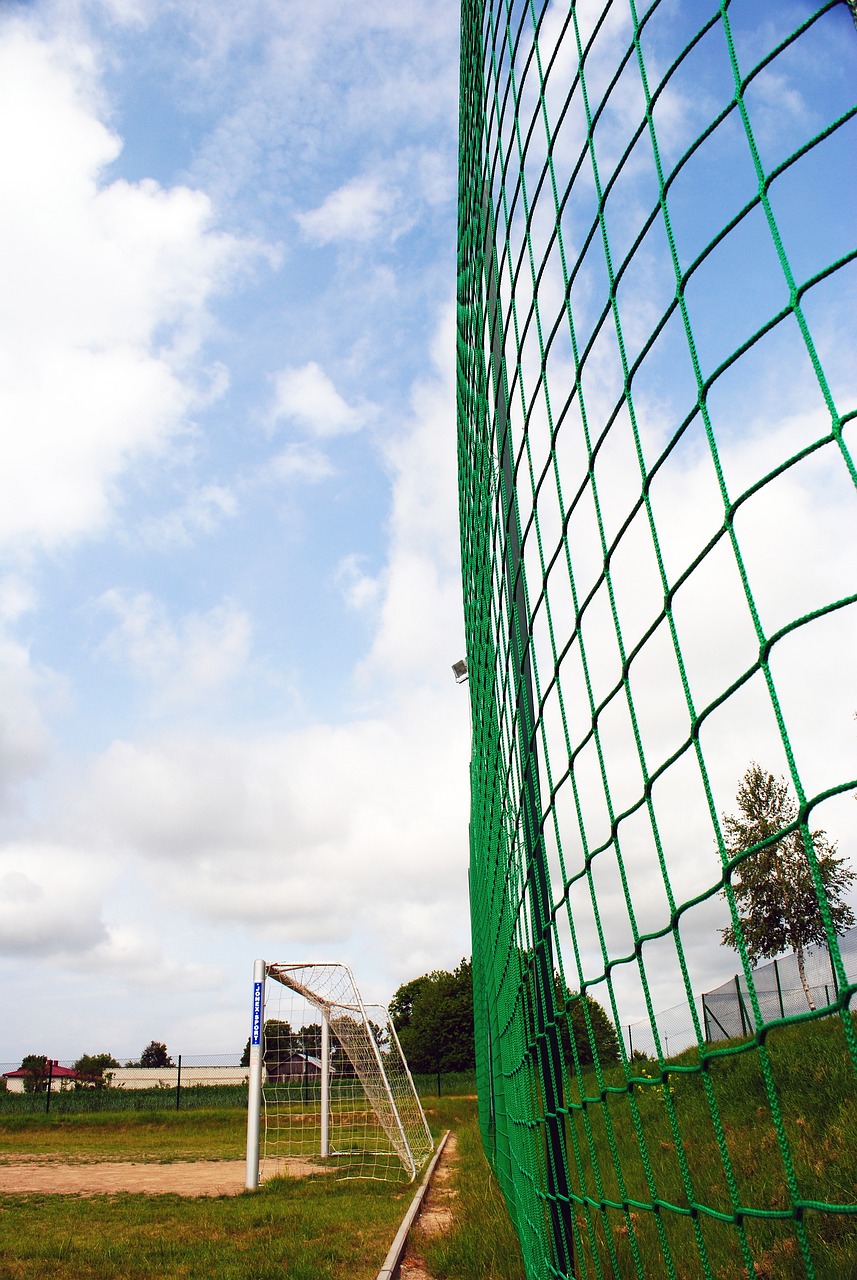 运用了速度 运用了速度