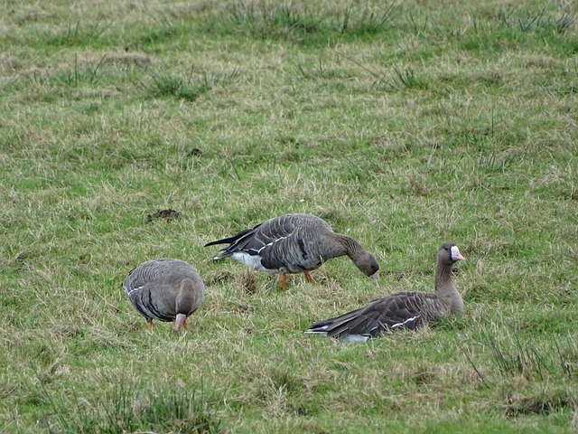渴望一个胜 渴望一个胜