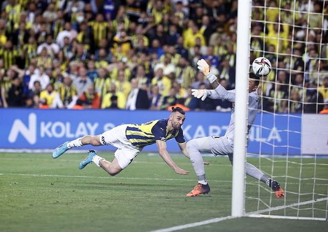 稳和冷静 稳和冷静